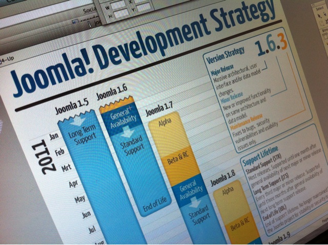 Joomla! Development Strategy Infographic by Sander Potjer