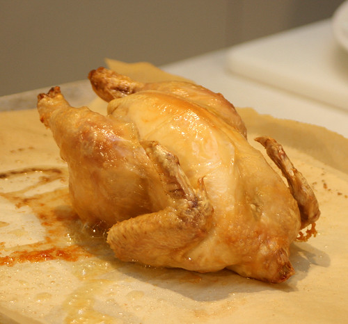 Baby poussin hot from the oven!