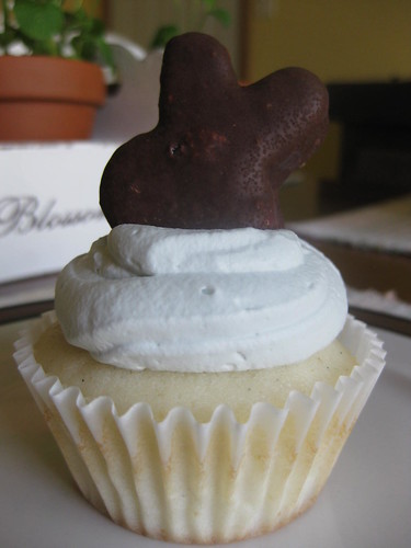 White velvet vanilla bean lavender cupcake