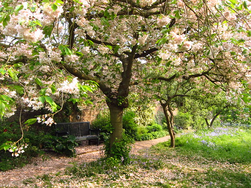The Orchard Garden at Fenton House