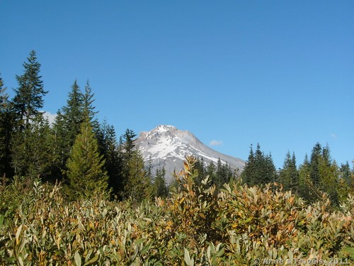 Mt. Hood from Mirror Lake, Mount Hood National Forest, Oregon