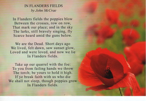 flanders field poem. In Flanders Fields- poppy poem