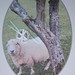 Sheep card with quilled ball of wool