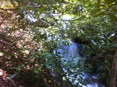  Third Cascade of Falls on Last Branch of Tickanetley Creek 