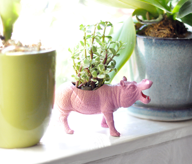 Penelope pink hippo succulent planter