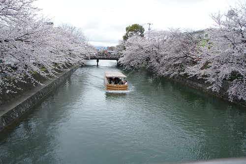 9th April, Kyoto