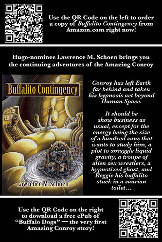 Buffalito Contingency Postcard
