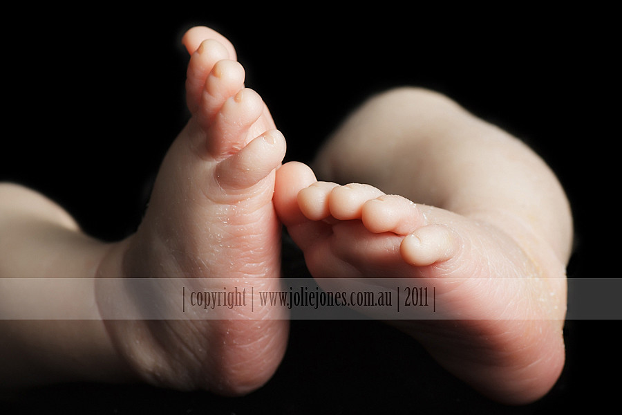 canberra newborn baby photo feet
