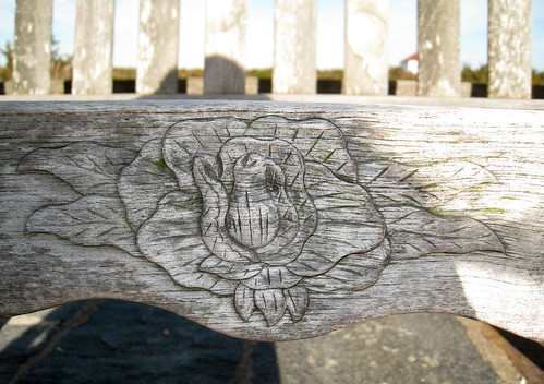 Rose carved into bench