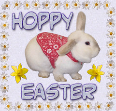 eCard Hoppy Easter - bunny & flowers on blue