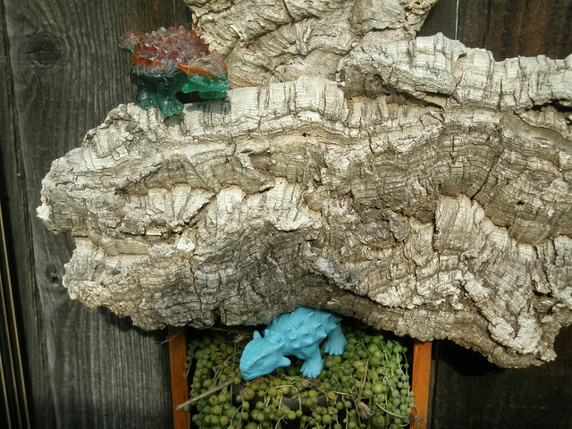 Dustin Cantrell's Anklyosaurus on the Fence