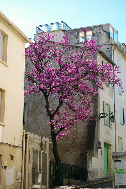 Arles, Soutern France