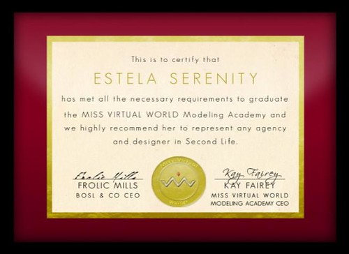 Miss Virtual World Cerificate by Estela Serenity