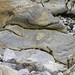 Beach Stones and Rocks
