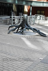 Bronze Stump