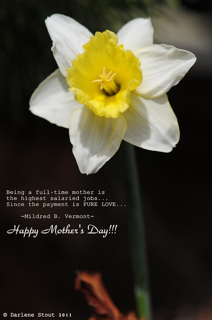 To all the best moms in the world... 