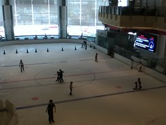 The rink