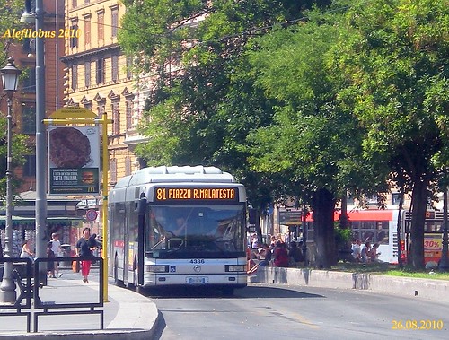 ROMA:autobus Iveco CityClass Cursor cng n°4386 al capolinea 81 - piazza Risorgimento