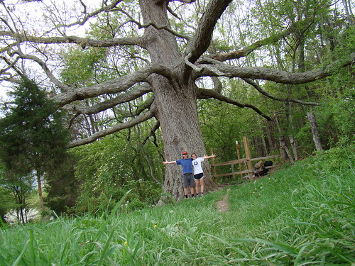 us in front of the giant keffer oak