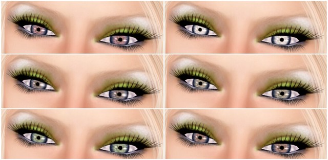 Apple Spice - Eyes 1-6 FATPACK