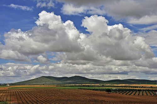 Viñedos de La Mancha - Vineyards of La Mancha by Marco Antonio Losas