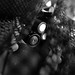 Leica D-LUX 5 test shot #2