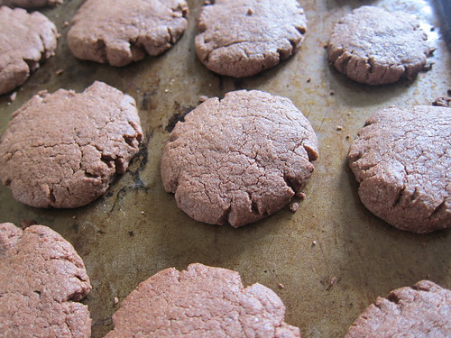Chocolate cookies by WJCruttenden