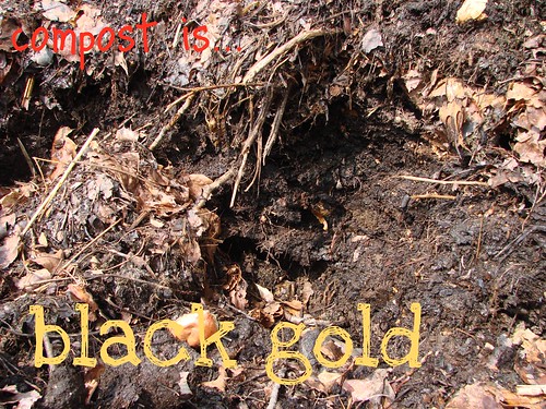 DSC02713- compost