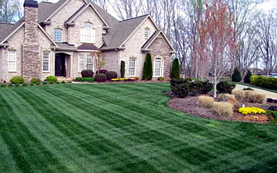 house-lawn