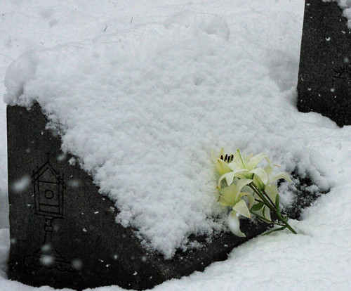 Lillies on a Tombstone