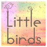 Little Birds Blog