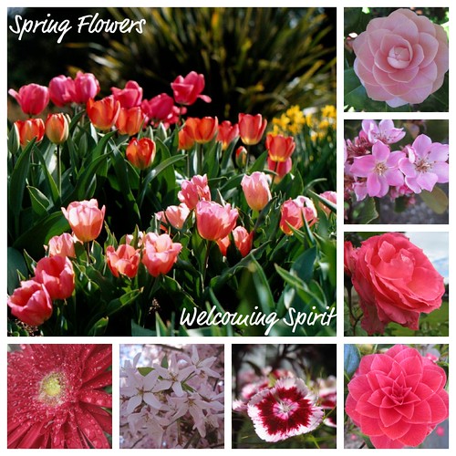pink_spring_flowers
