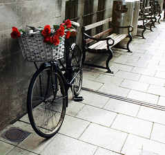 bycicle race. (fotosintetica) Tags: street uk flowers roses flores bike calle basket wheels bicicleta oxford rosas ruedas cesta