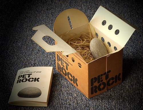 Pet rock kit