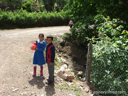 sarı dana köyünden  okula giden çocuklar