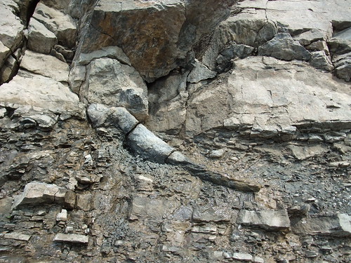 fossil cliff