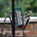 Greater Spotted Woodpecker and Coal Tit
