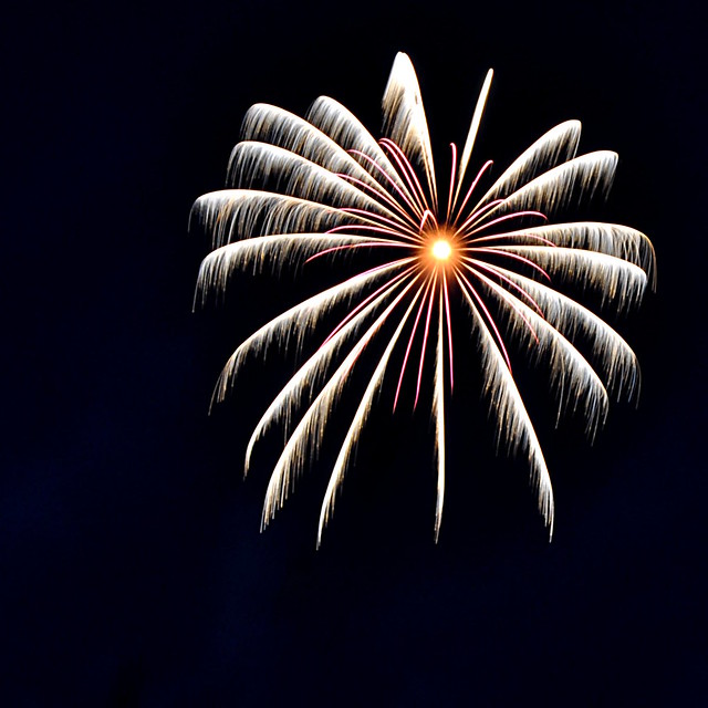 2011 Fireworks - 4