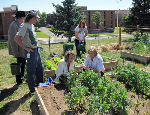 Jim Isgar, Rural Development Colorado State Director; Trudy Kareus, FSA State Executive Director; and Tammy Cook – FSA working in the garden 
