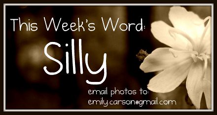 This Week's Word, Silly