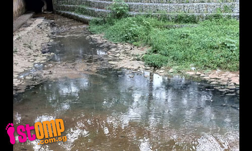 After NEA check, petrol kiosk still leaking sewage into Bishan canal?