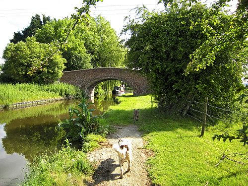 Along the Oxford Canal