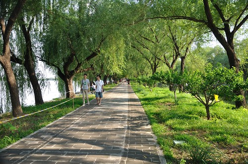 Grön Park