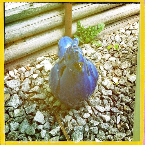 Blue Chicken by Davide Restivo