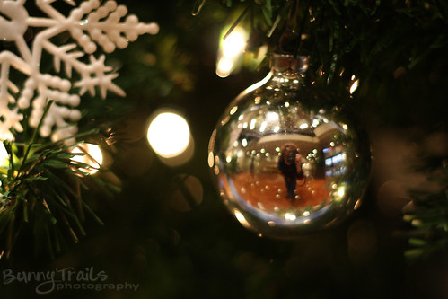 349-ornaments- reflection