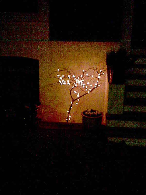 tree lights 2