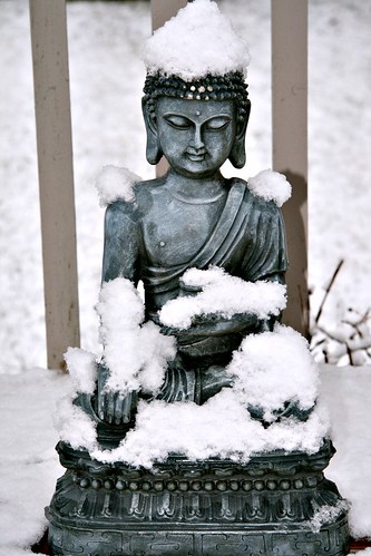 Edmonton home Snowy Buddha Pat 100