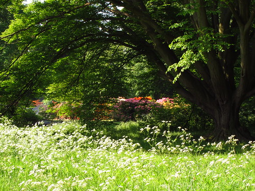 Kew Gardens in May