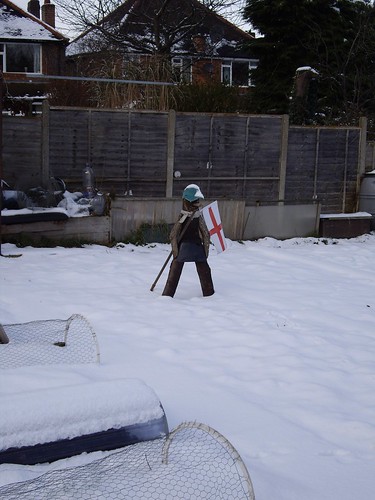 Winter on the allotment.