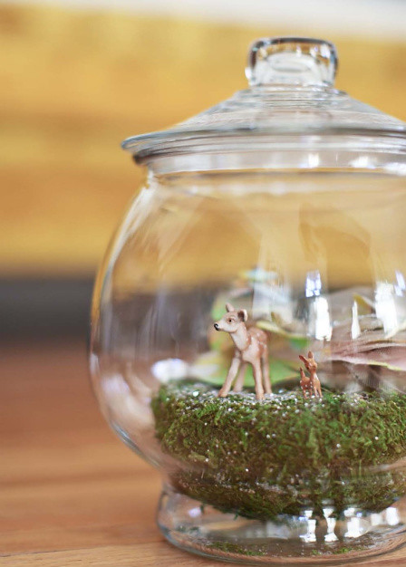 the sweetest holiday terrarium